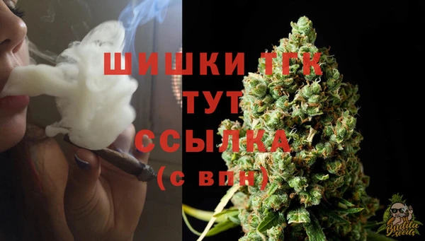 спиды Приозерск
