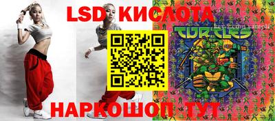 винт Кандалакша