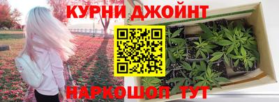 гидропоника Канаш