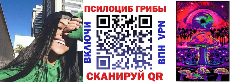 Галлюциногенные грибы MAGIC MUSHROOMS  где купить наркоту  Рассказово 