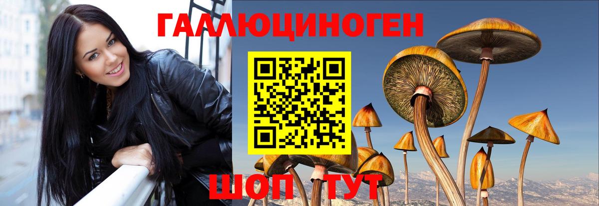 Галлюциногенные грибы прущие грибы  Вход с VPN  Рассказово 
